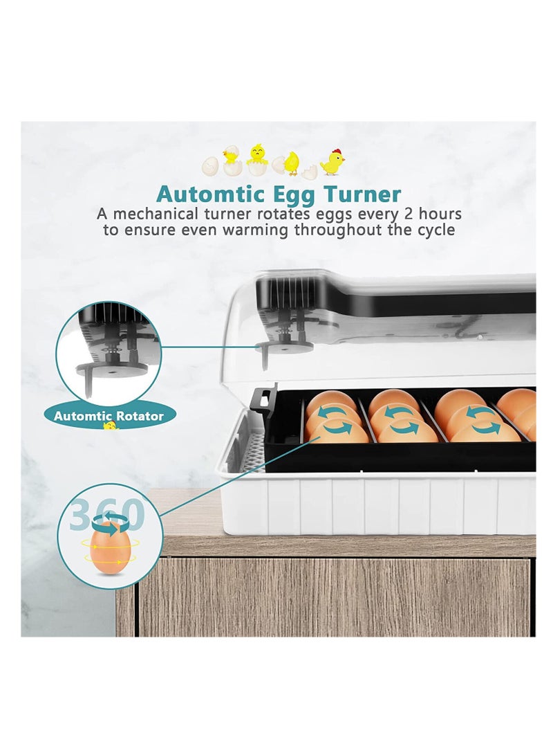 Arabest Egg Incubator, Poultry Hatcher with LED Display, Automatic Incubation Equipment for Hatching Chickens, Ducks, Geese, Quail, Pigeons  - Image 3