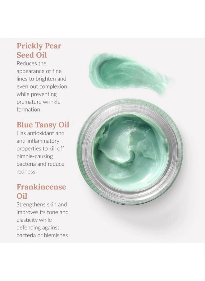 BambuEarth - Cactus Concentrate Mini Face Moisturizer Organic Ingredients & Ewg Certified Skin Solution For Dry Oily & Mature Skin Intense Facial Hydration (.14 Oz) - Image 1