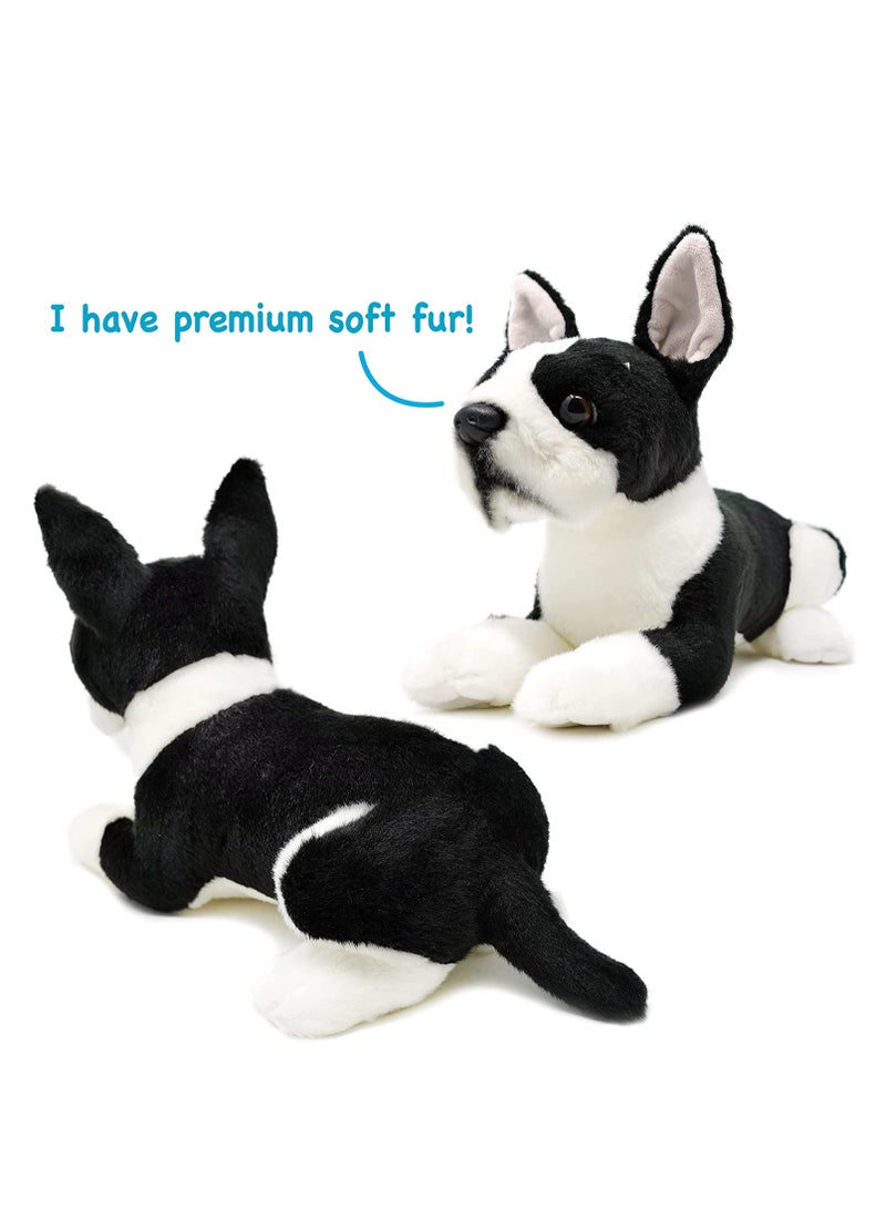 Viahart Baxter The Boston Terrier Soft Plush Toy for Kids | Huggable Stuffed Animals| Fluffy Toys for Baby, Children, Toddler | Polyester Fabric | Polypropelene Filling | Recommended Age 3+ - Image 4