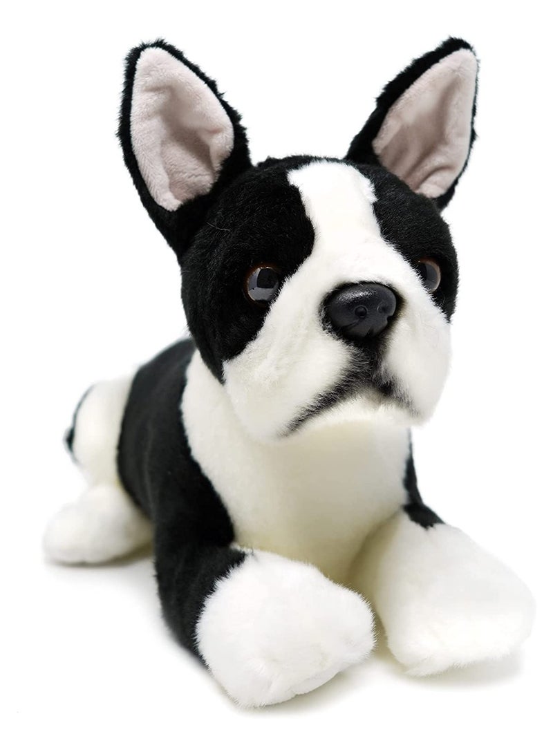 Viahart Baxter The Boston Terrier Soft Plush Toy for Kids | Huggable Stuffed Animals| Fluffy Toys for Baby, Children, Toddler | Polyester Fabric | Polypropelene Filling | Recommended Age 3+ - Image 1