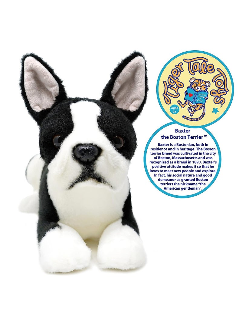 Viahart Baxter The Boston Terrier Soft Plush Toy for Kids | Huggable Stuffed Animals| Fluffy Toys for Baby, Children, Toddler | Polyester Fabric | Polypropelene Filling | Recommended Age 3+ - Image 3