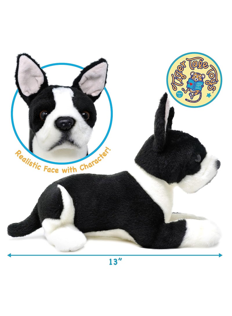 Viahart Baxter The Boston Terrier Soft Plush Toy for Kids | Huggable Stuffed Animals| Fluffy Toys for Baby, Children, Toddler | Polyester Fabric | Polypropelene Filling | Recommended Age 3+ - Image 2