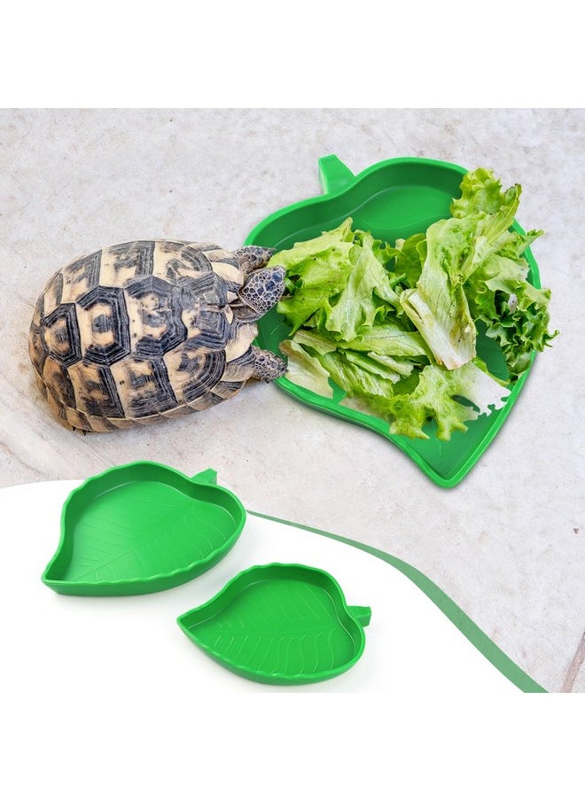 Tenalleys 2 Pcs Leaf Reptile Food Water Bowl Plate Dish for Tortoise, Lizards, Young Bearded Dragons, Small Snakes, 2 Sizes  - Image 2