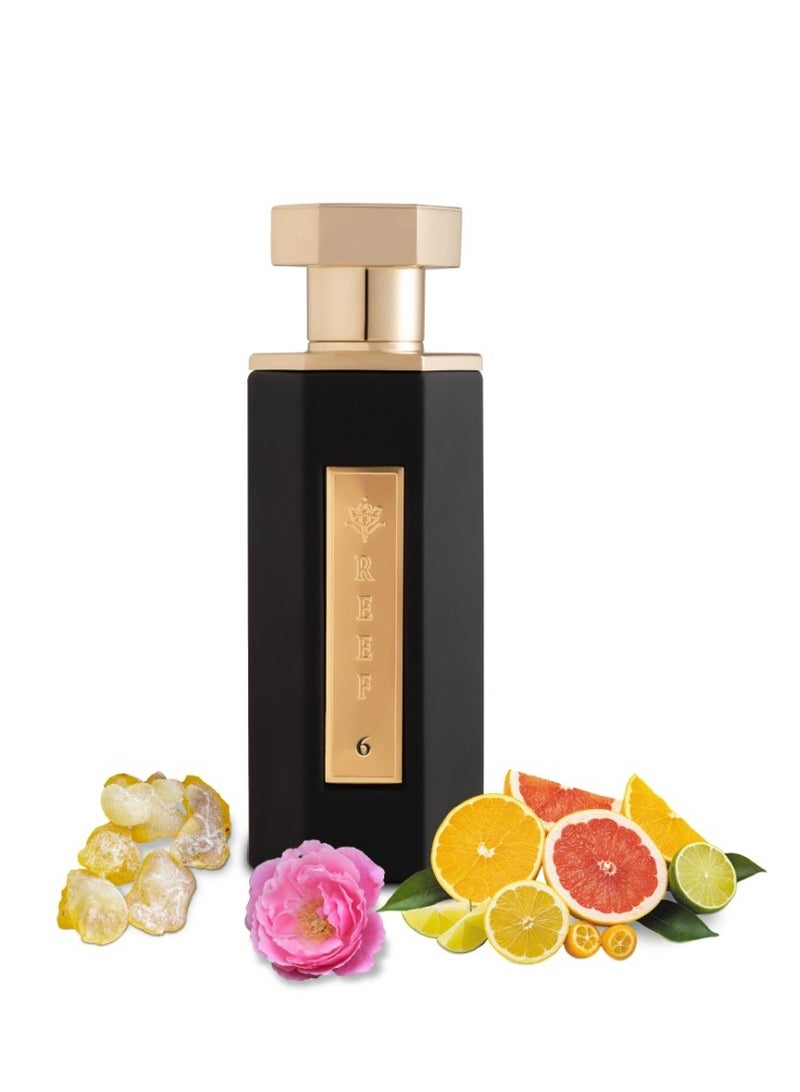 Reef 6 Parfum 100ml - Image 2
