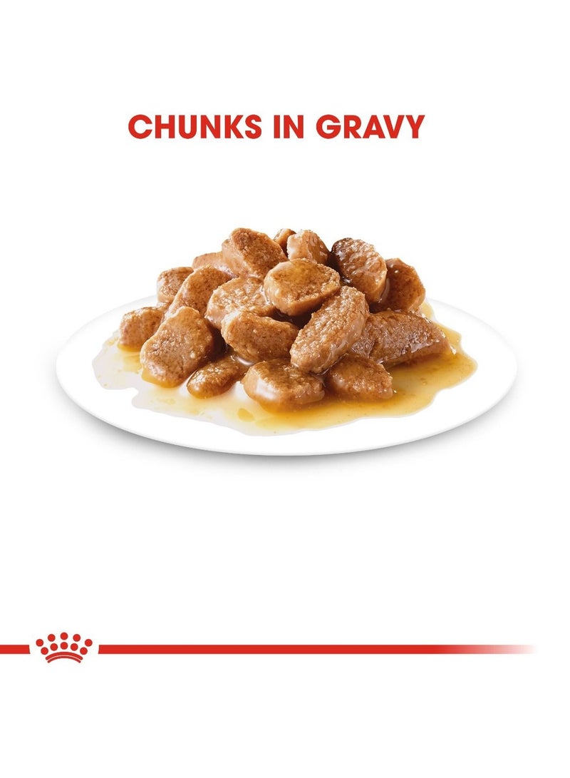 رويال كانين سايز هيلث نيوتريشن ميني أدلت (طعام رطب - أكياس) 12 × 85 جم - Image 3