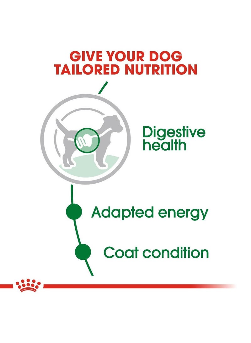 رويال كانين سايز هيلث نيوتريشن ميني أدلت (طعام رطب - أكياس) 12 × 85 جم - Image 5