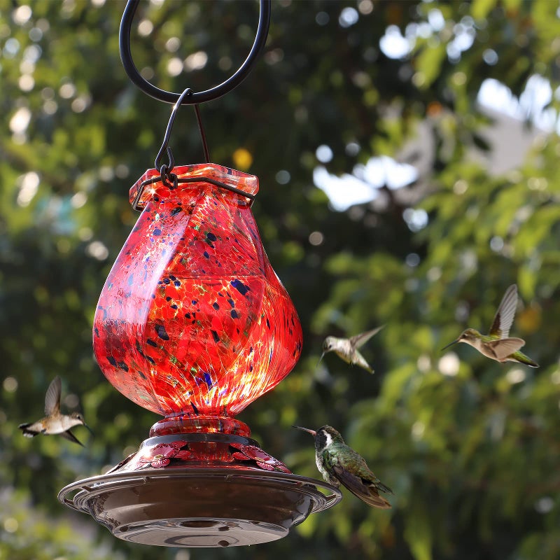BOLITE Hummingbird Feeder, Hand Blown Glass Hummingbird Feeders for Outdoors Hanging, with Ant Moat and 5 Feeding Ports, 22 Ounces, Red, Birthday Gifts for Women Men, Gifts for Mom Dad - Image 3