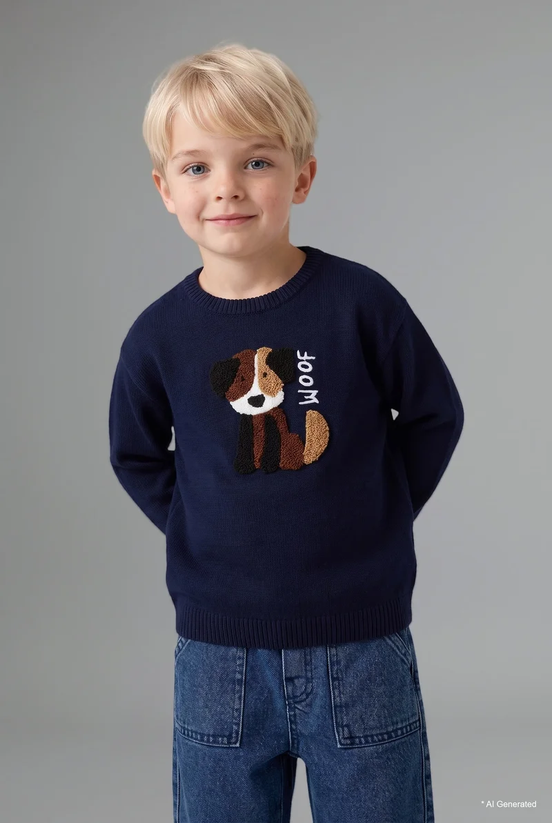 Defacto Baby Boy Regular Fit Pullover