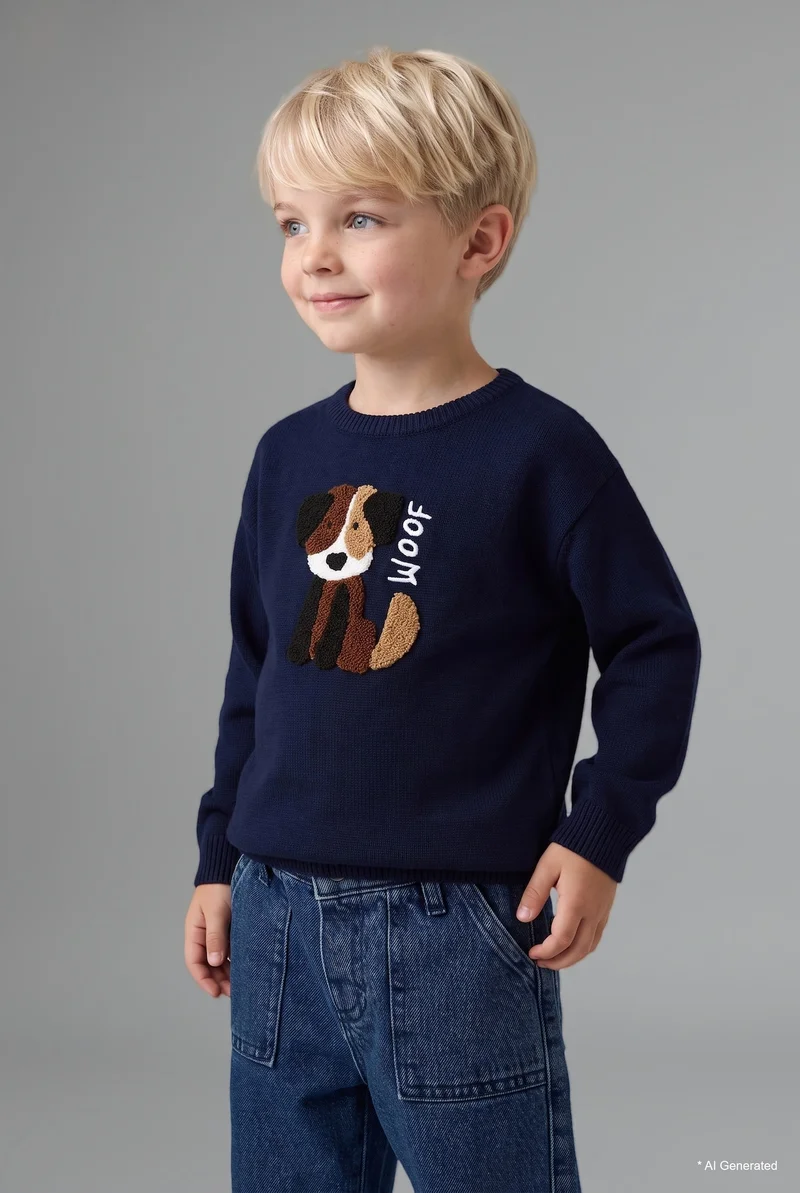 Defacto Baby Boy Regular Fit Pullover