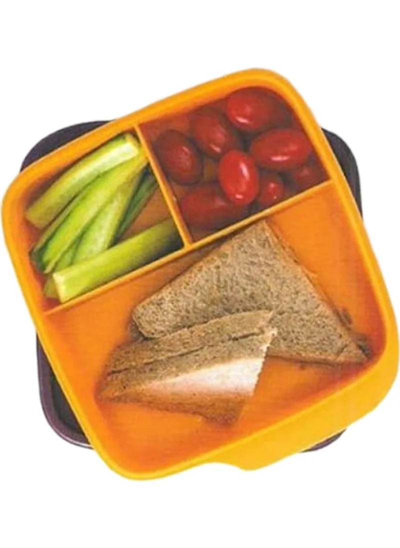 تابروير Divided Nutrition Container 550Ml Orange