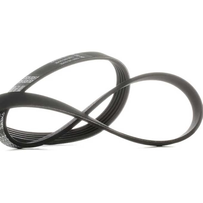 ريحني أحزمة V ذات أضلاع E32 E52 لبي إم دبليو 5Pk975