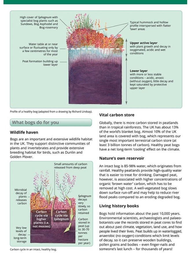 Field Guide to Sphagnum Mosses in Bogs - Image 3