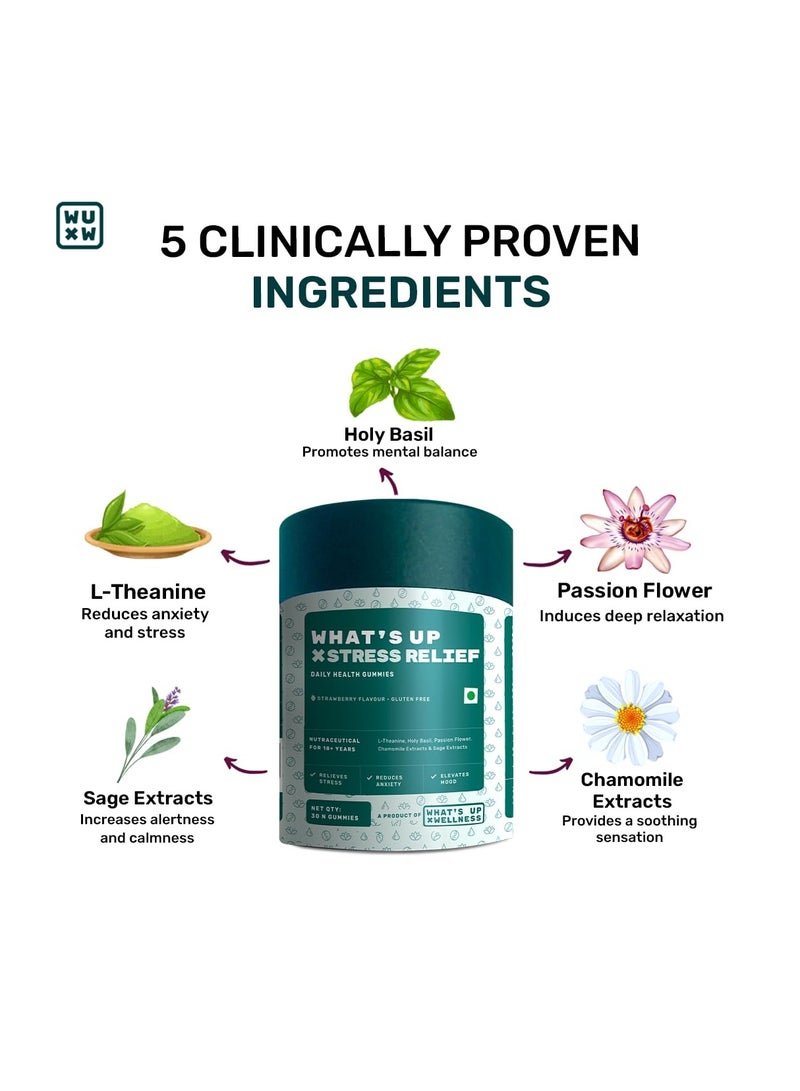 واتس أب مجموعة What's Up Wellness Beauty وتخفيف التوتر. البيوتين الطبيعي لشعر قوي، وفيتامين A، وB6، وC للبشرة المشرقة + L-Theanine لتقليل القلق والتوتر. خدمة لمدة 30 يومًا. لا آثار جانبية. - Image 3