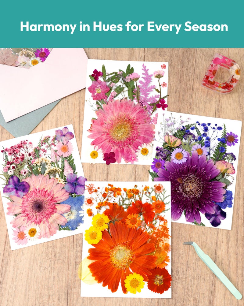 Resiners Dried Pressed Flowers, Resiners Dried Flowers for Candle Making Real Natural Pressed Flowers Dry Leaves Kit for DIY Crafts Resin Soap Scrapbook Card Making Jewelry (Gerbera Daisy 100pcs) - Image 5