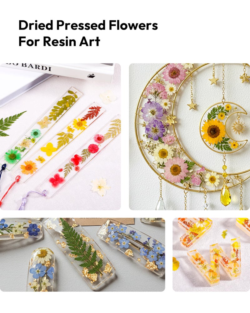 Resiners Dried Pressed Flowers, Resiners Dried Flowers for Candle Making Real Natural Pressed Flowers Dry Leaves Kit for DIY Crafts Resin Soap Scrapbook Card Making Jewelry (Gerbera Daisy 100pcs) - Image 3