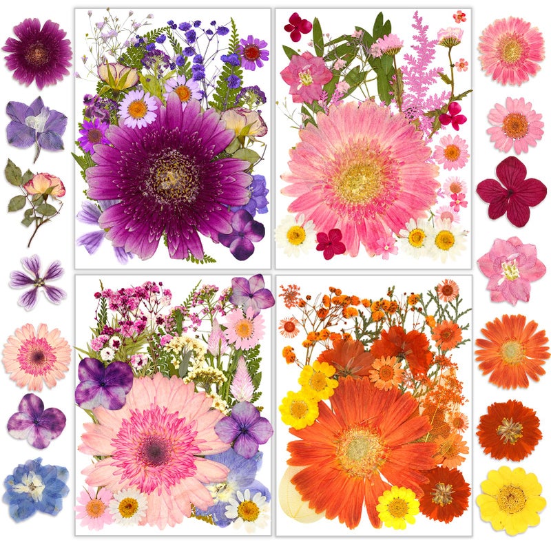 Resiners Dried Pressed Flowers, Resiners Dried Flowers for Candle Making Real Natural Pressed Flowers Dry Leaves Kit for DIY Crafts Resin Soap Scrapbook Card Making Jewelry (Gerbera Daisy 100pcs) - Image 1