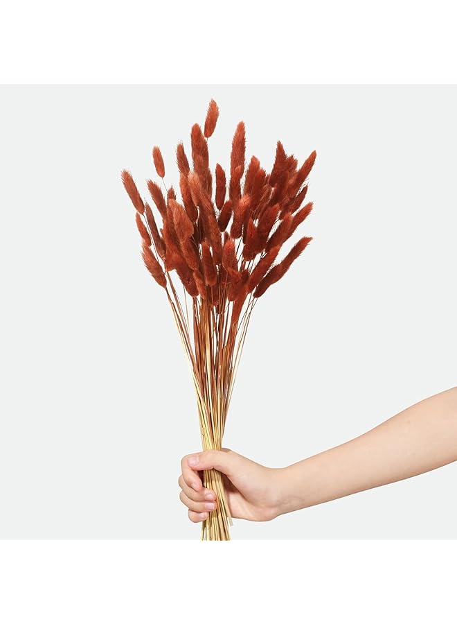 60pcs Bunny Tails Dried Flowers ,17 Inch Natural Pampas Grass for Boho Home Decor, Wedding Bouquets,shelf decor, desk decor, farmhouse deco, Centerpieces & DIY Arrangements (Burnt Orange)