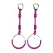 Hokilands Swing Gymnastic Ring Warrior Obstacle Course Slackline Climb Trapeze Fist Training Equipment 2 Purple Ninja Monkey Bar Hang Jungle Fist Workout Outdoor Indoor Home Gym Backyard Playground Play Sets - Image 2