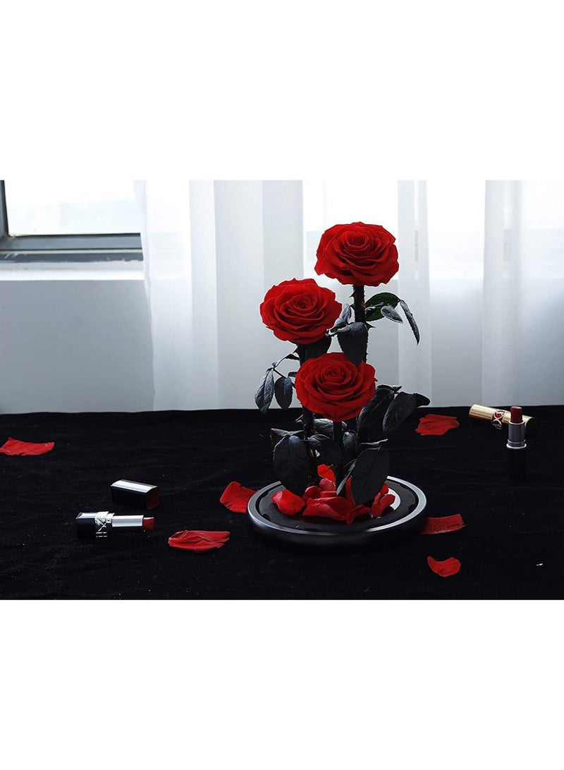 Gift Three Red Roses in Glass