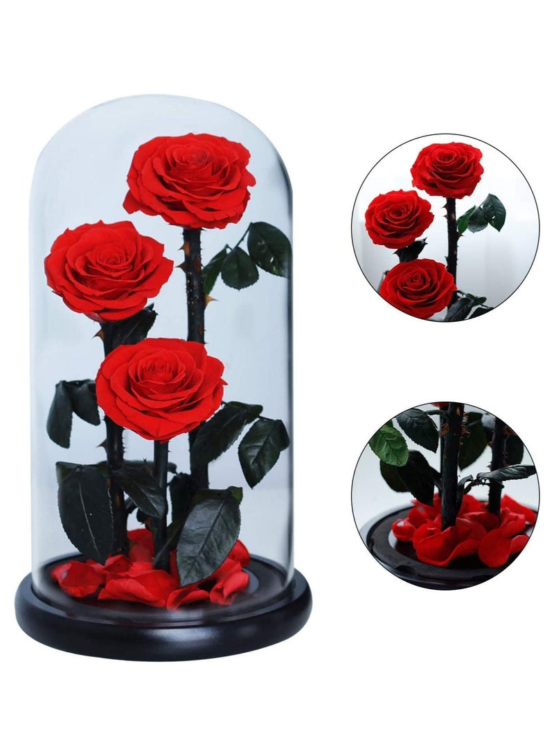 Gift Three Red Roses in Glass