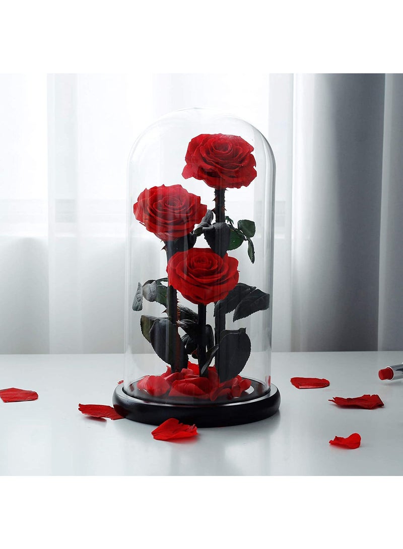 Gift Three Red Roses in Glass
