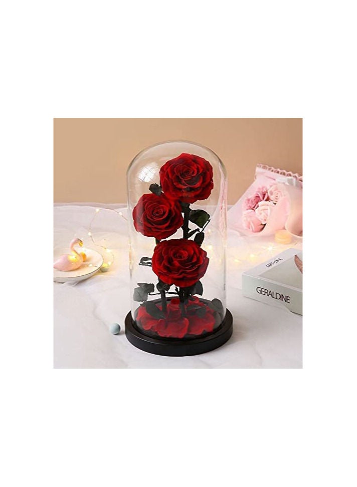 Gift Three Red Roses in Glass