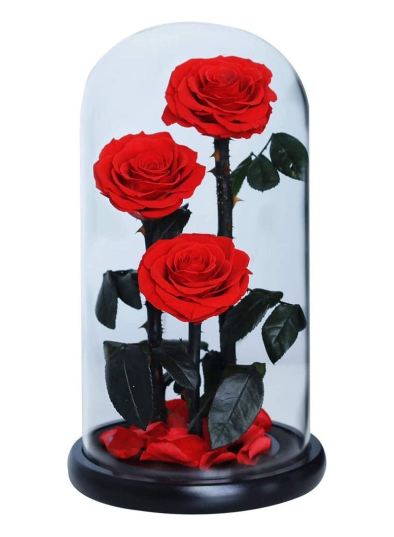 Gift Three Red Roses in Glass