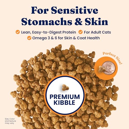 Solid Gold Sensitive Stomach Dry Cat Food - Grain Free & Gluten Free Sensitive Stomach Cat Food for Indoor Adult & Senior Cats - Dry Kibble for Cats w/Quail, Pumpkin & Probiotics for Gut Health - 6lb - Image 2