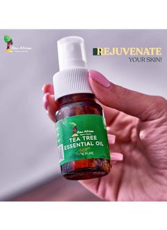 Raw African Raw African Tea Tree Oil - 30 Ml  - Image 2