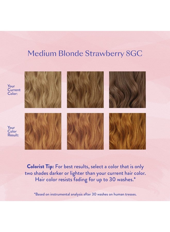 esalon Permanent Hair Color & Hair Dye Complete Kit Medium Blonde Strawberry Personal Colorist Kit For Up To 100% Gray Coverage For All Hair Types Professionalgrade Ammoniafree Hair Dye - Image 4
