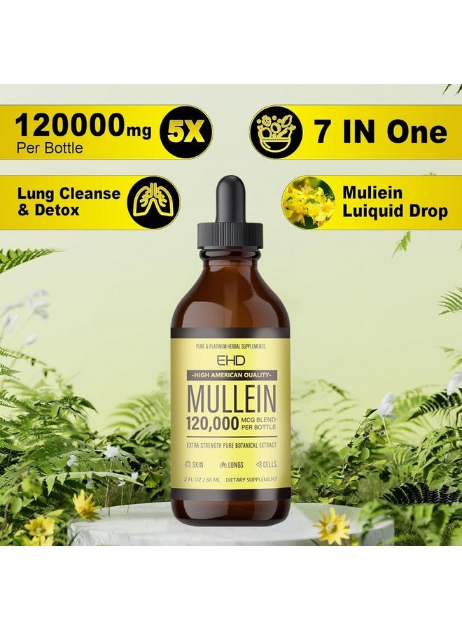 Generic Mullein Drops - Lung Cleanse,120000mg Mullein Leaf Extract for Lungs Cleanse & Respiratory Function Healthy Breathing Immune, Natural Herbal Supplement Sugar & Alcohol-Free  - Image 2