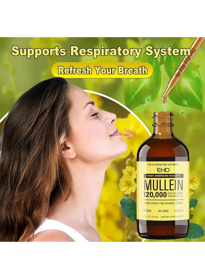 Generic Mullein Drops - Lung Cleanse,120000mg Mullein Leaf Extract for Lungs Cleanse & Respiratory Function Healthy Breathing Immune, Natural Herbal Supplement Sugar & Alcohol-Free  - Image 3