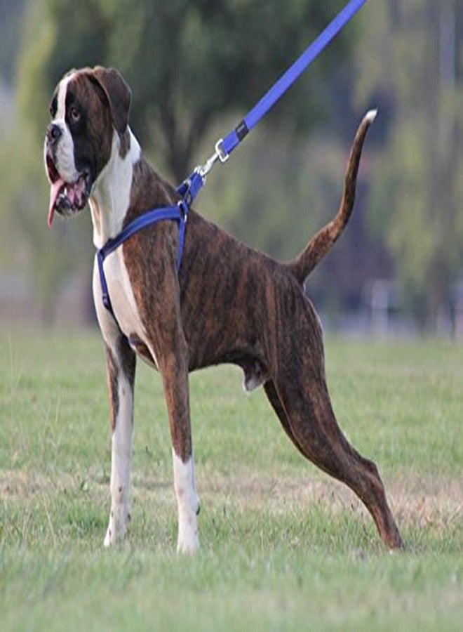 Rogz Reflective Adjustable Dog Step in Harness for Extra Large Dogs; Matching Collar and Leash Available, Brown - Image 2