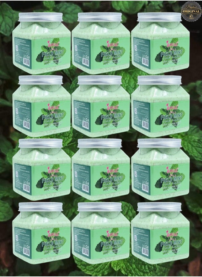 ROVAL 12 Pieces Field Mint Body And Face Scrub  - Image 1