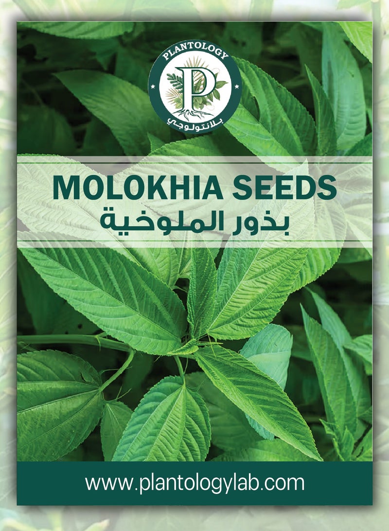 ماركة غير محددة بذور الملوخية للزراعة - بذور الملوخية للزراعة  - Image 1