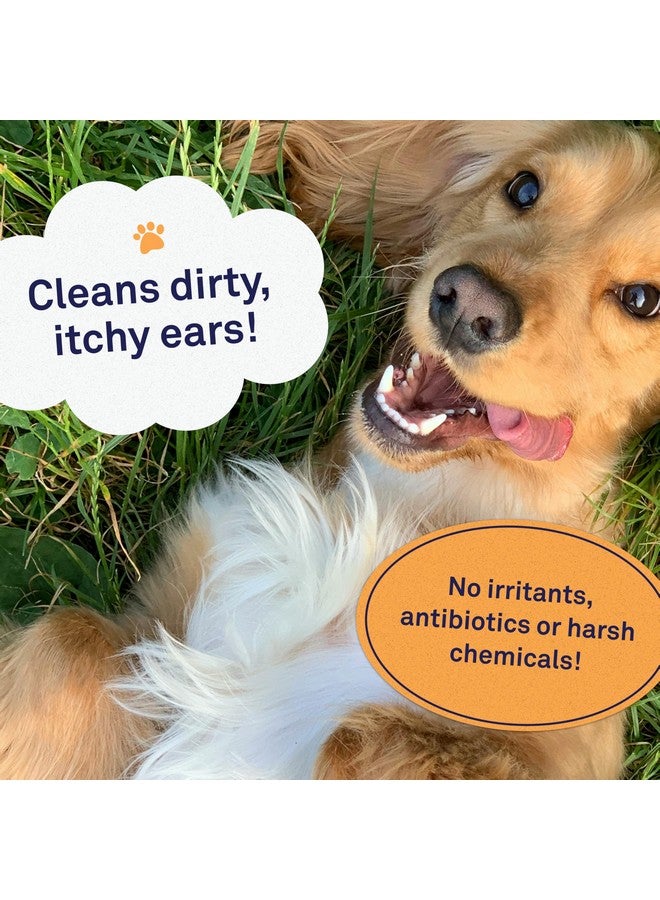 Petpost | Large Dog Ear Cleaner Wipes - Ultra Soft XL Cotton Pads in Coconut Oil Aloe Solution - Remedy for Dog Ear Rinse & Cleanser 60 ct. - Image 2