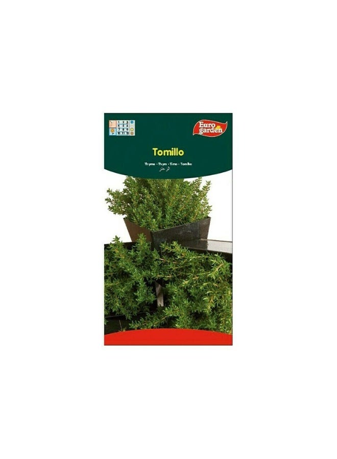 Euro Garden EG Thyme Seeds