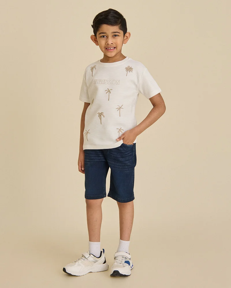 REDTAG Boys Ivory Embroidered T-Shirt