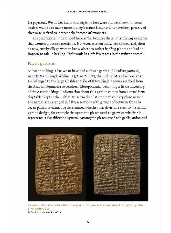 An Ancient Mesopotamiam Herbal  - Image 2