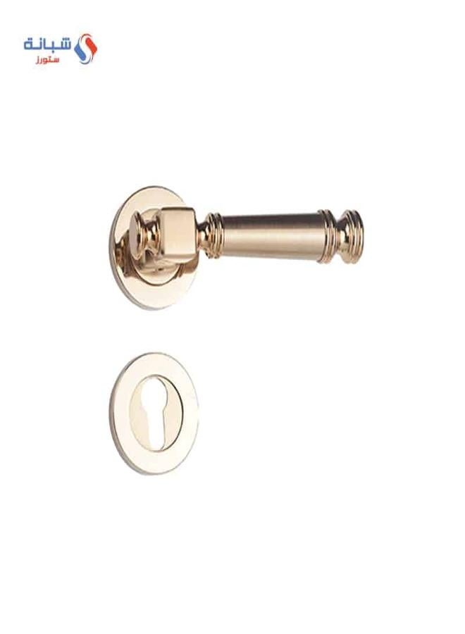 Doganlar Dragon Turkish Rosette Cylinder Door Handle Set – Matte Golden - Image 1