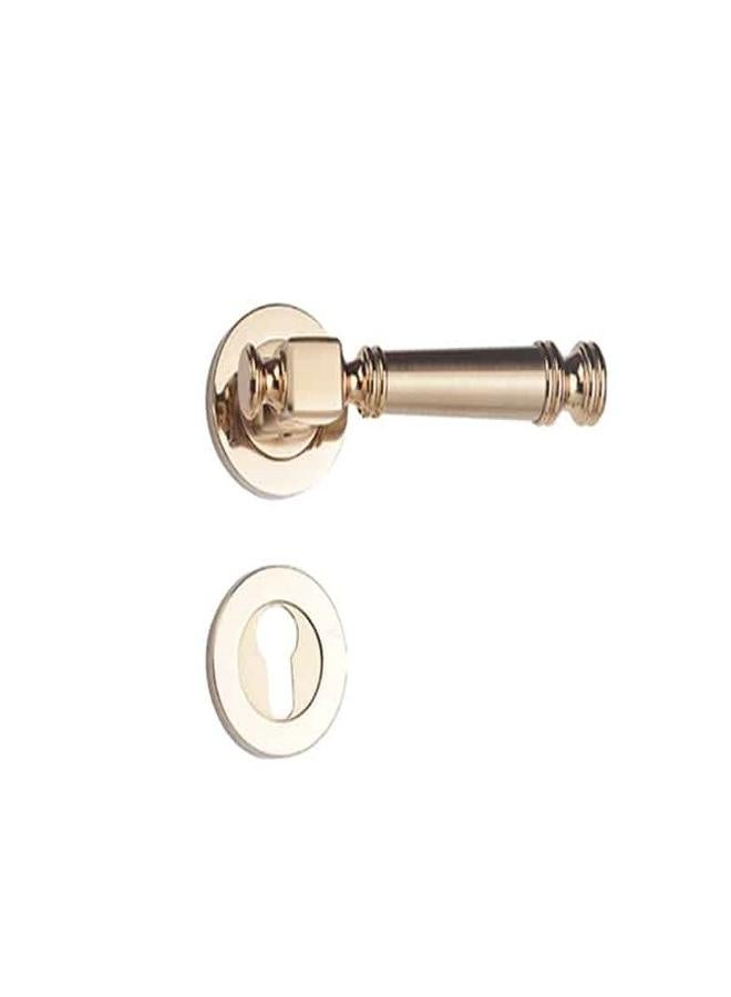 Doganlar Dragon Turkish Rosette Cylinder Door Handle Set – Matte Golden - Image 2