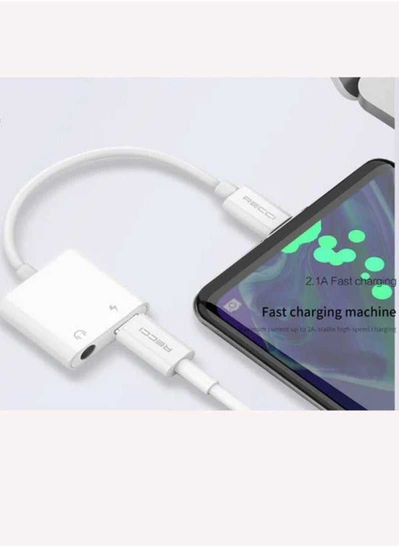Raxoom "Recci Hub Converter Cable: Fast Charging 2.1A, Compact 10cm Design" - Image 4