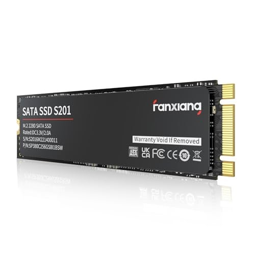 fanxiang S201 256GB M.2 SATA SSD 2280 SATA III 6Gb/s Internal Solid State Drive, SLC Cache for Speed Boost, Read Speed up to 550MB/sec, 3D NAND TLC, Compatible with Laptop and PC Desktops(Black) - Image 1