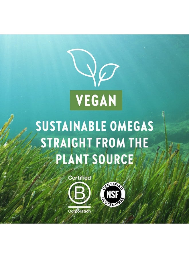 New Chapter Vegan Dha Epa And Dpa Supplement Vegan Omega3 Complex 30 Vegan Softgels - Image 5