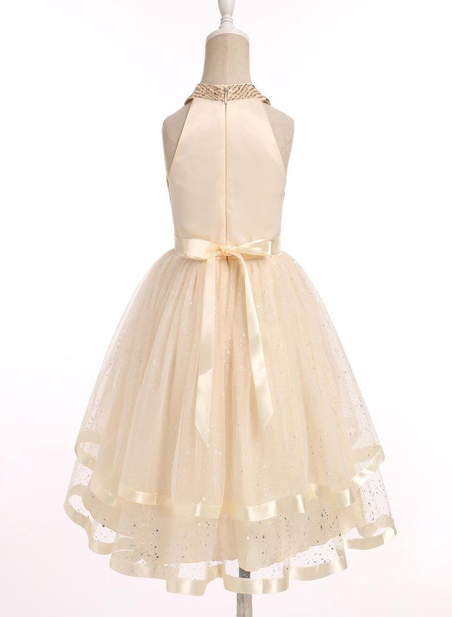 OBEEII Flower Girl Dress for Toddler Baby Girls Sequins Tulle Tutu Dress Princess Birthday Party Photoshoot Dress Prom Sparkle Glitter Wedding Guest Dress Baptism Formal Ball Gown Champagne 3-4 T - Image 4