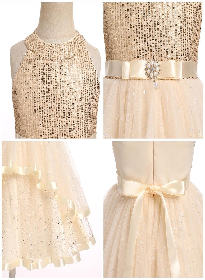 OBEEII Flower Girl Dress for Toddler Baby Girls Sequins Tulle Tutu Dress Princess Birthday Party Photoshoot Dress Prom Sparkle Glitter Wedding Guest Dress Baptism Formal Ball Gown Champagne 3-4 T - Image 5