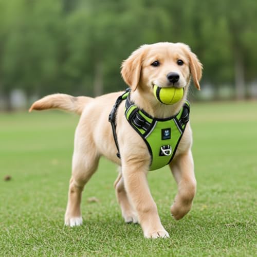 HANK Dog Harness | 3M Reflective | Body Vest for Small Dogs | Soft Comfortable | Adjustable Buckles | No Pull Harness for Training, Walking (Neon Green - S (4-13Kg) - Image 3