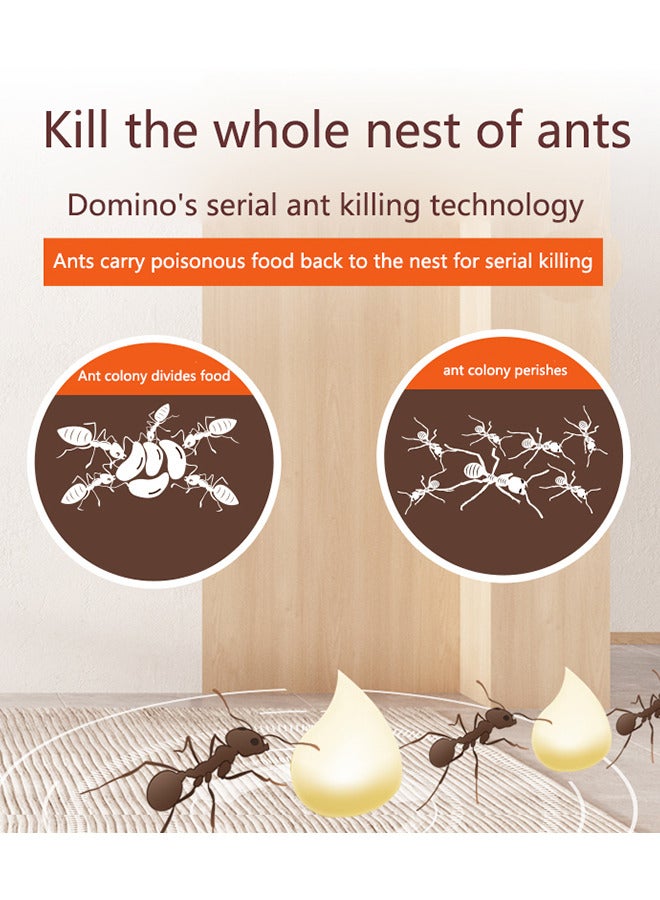 Tophunter 10g Effective Ant Killer Gel Baits Trap for Household Use Indoor Killing Red Black and Yellow Ants - Image 4