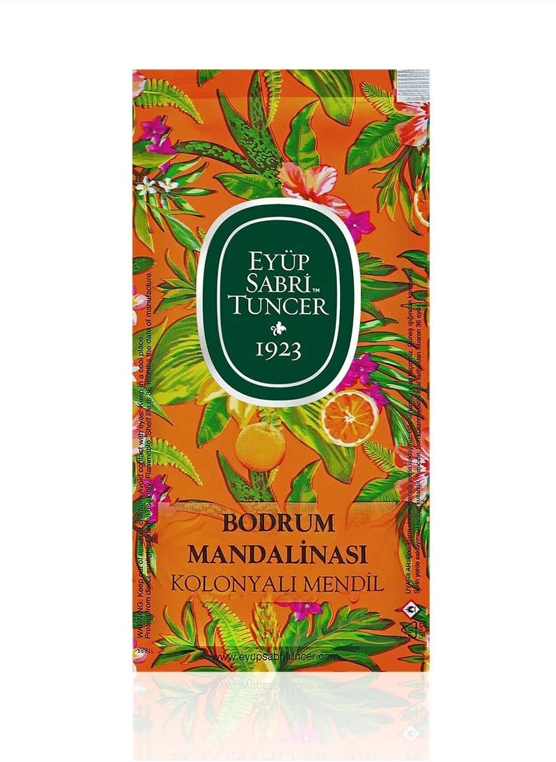 eyup sabri tuncer EYÜP SABRİ TUNCER  Mandarin  Wet Wipe Refreshment Towel, Pack of 150  - Image 1