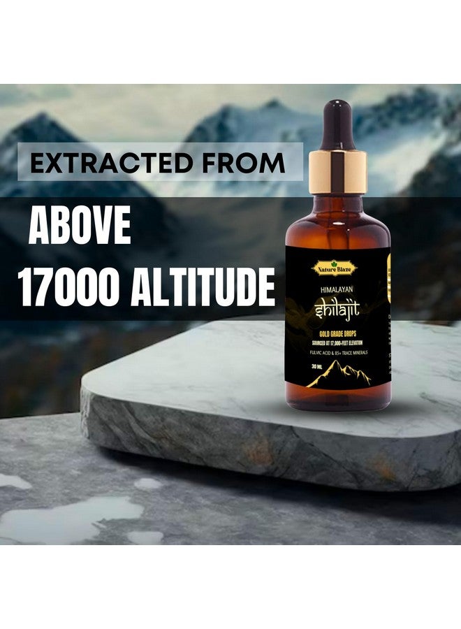 Nature Blaze Organic Himalayan Shilajit Drops for Men & Women (30Ml / 1.0 Oz) - Image 3